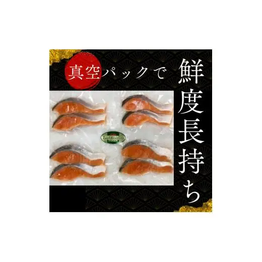 本格銀鮭甘塩切身セット 8切 640g / 鮭 切り身 個包装 冷凍 さけ サケ しゃけ 銀鮭 千葉県 匝瑳市