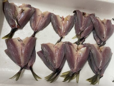 アジフライ 国産 個包装 16枚入り 魚屋さんが作った 自家製 鯵 開き おかず あじフライ お手軽 惣菜 吉井鮮魚 愛媛 伊予市｜B372