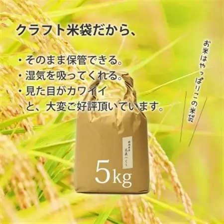 令和7年産 福岡県産「元気つくし」5kg×1袋 [5kg] [玄米]_ 玄米 米 こめ コメ_【1550489】