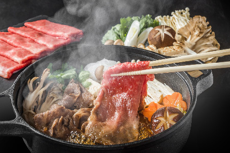 【A4～A5】佐賀牛切り落とし 500g(H112143)