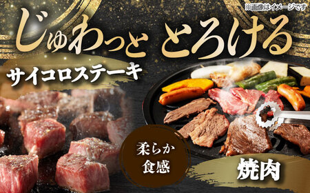 【4回定期便】 飛騨牛 プレミアム 定期便 2人前 ( しゃぶしゃぶ × すき焼き × サイコロステーキ × 焼肉 ) 各500g[TAZ046]牛