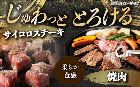 【8回定期便】  飛騨牛 プレミアム 定期便 2人前 ( しゃぶしゃぶ × すき焼き × サイコロステーキ × 焼肉 ) 各500g[TAZ047]牛肉
