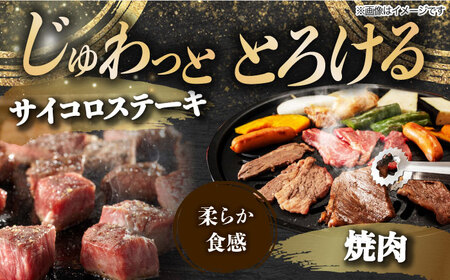 【4回定期便】 飛騨牛 プレミアム 定期便 4人前 ( しゃぶしゃぶ × すき焼き × サイコロステーキ × 焼肉 ) 各1kg[TAZ048]しゃぶしゃぶ