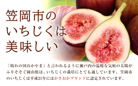 いちじくフレンチドレッシング 300g 1本　ドレッシング