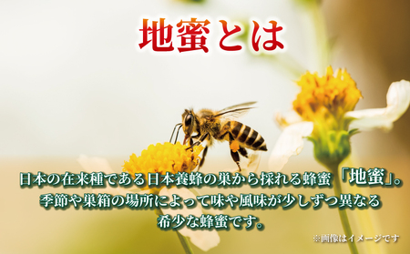 訳あり 地蜜 はちみつ 180g 元気や ハチミツ わけあり 訳アリ 訳あり品 非加熱 はちみつ 国産はちみつ 純粋はちみつ 生はちみつ 生蜂蜜 蜂蜜 ちみつ ハニー honey 簡易包装 甘い 数量限定 産地直送 国産 愛媛 宇和島 F011-176007