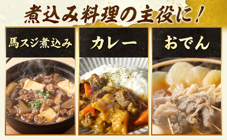 馬肉 馬スジ 500g × 2パック 6kg 6ヶ月定期便 五右衛門フーズ 《お申込み月の翌月から出荷開始》 