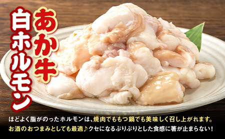 あか牛 白ホルモン 6kg 12ヶ月定期便 五右衛門フーズ 《お申込み月の翌月から出荷開始》 熊本県 球磨郡 山江村 牛肉 肉 国産 熊本県産 ブランド牛 絶品 贅沢 高級 あか牛 ホルモン もつ モツ もつ鍋
