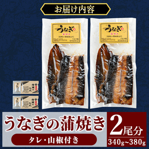 a982-B うなぎ蒲焼き・2尾分(1尾あたり170g～190g・最大合計340g以上)【うえの屋】姶良市 うなぎ 鰻 ウナギ 蒲焼き 蒲焼 かばやき カット タレ 鹿児島 国産 冷凍