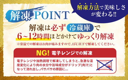 【12回定期便】長崎和牛 切落し 300g×2パック / 長崎和牛 切落し 和牛 国産牛 牛肉 / 諫早市 / 有限会社長崎フードサービス [AHDD008]