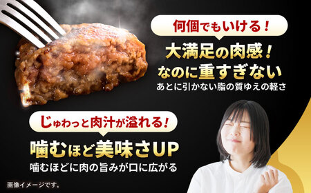 【12回定期便】長崎和牛 ハンバーグ 150g×10パック / ハンバーグ はんばーぐ 牛肉100％ 国産 冷凍 / 諫早市 / 有限会社長崎フードサービス [AHDD017]