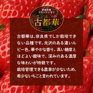 高級いちご「古都華」 ジャム2本セット ジャム 苺 2本 セット 150g × 2本 無添加 古都華 奈良県生まれのいちご 奈良県でしか栽培できない品種 華やかな香り 高い糖度 ほどよい酸味 深みのある濃厚な味わいが特徴 保存料不使用 加工品 フルーツ 果物 お取り寄せ 送料無料