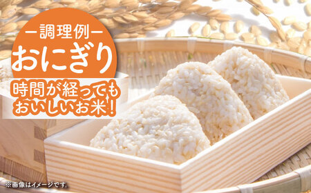令和7年産 さがびより 玄米 5kg（一等米） [HDC002] 玄米 米 玄米 米 玄米 玄米 玄米 玄米