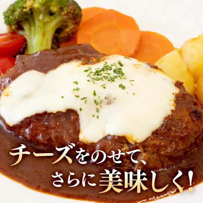 煮込みハンバーグ 200g×6個 茨城県 ブランド牛 常陸牛 使用 520