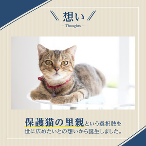 アクリル製キャットタワーmedium[149F03]