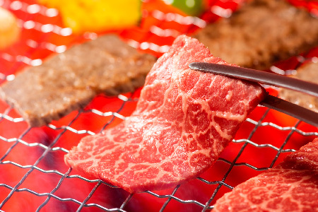 訳あり!佐賀牛焼肉切り落とし(肩ロース・バラ)500g(H112134)