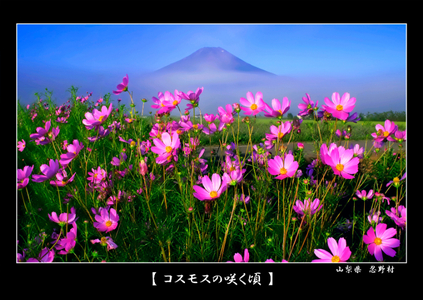 アクリルパネル（A4）