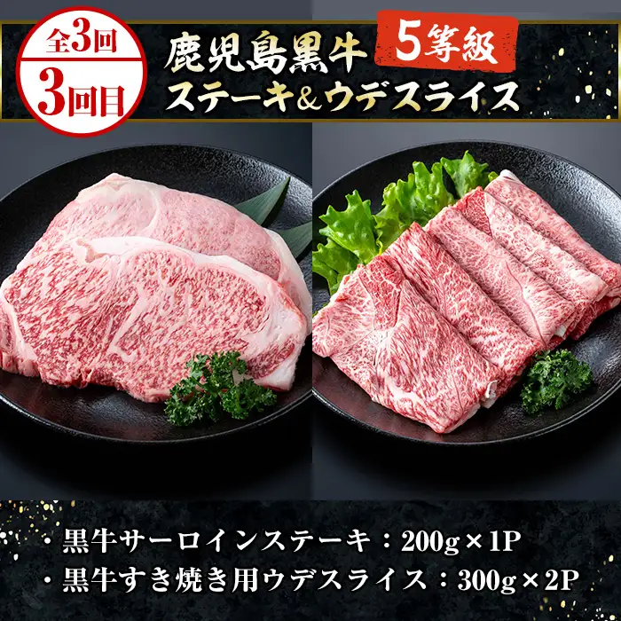 ＜3ヶ月定期便＞いちき串木野プレミアム定期便（マグロ・鰻・牛肉）【00-016-03-TK】
