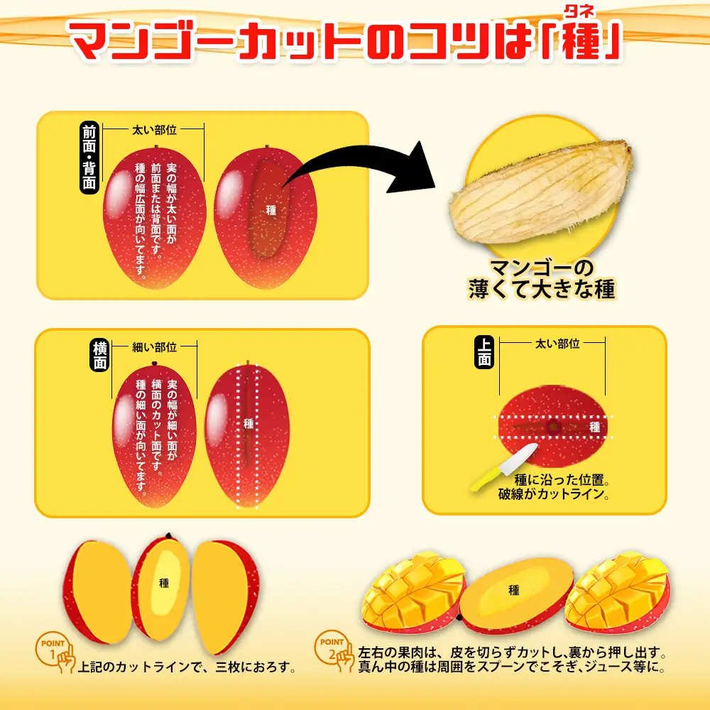 2026年発送【沖縄やんばる産】約2kg　家庭で楽しむアップルマンゴー （Ms mango farm） 南国 南国フルーツ 先行予約 期間限定 沖縄 甘味 糖度 フルーツ 果物 果実 プレゼント ギフト トロピカル 数量限定 予約 おすすめ くだもの 太陽 やんばる 自然