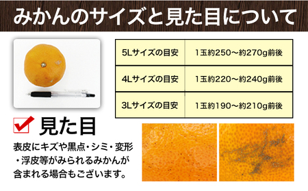 訳あり 大粒みかん 約3kg 《2027年1月中旬-2月末頃出荷》みかん 訳ありみかん 熊本県産みかん 大容量