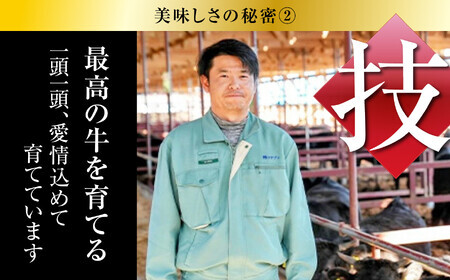 【定期便】あだたら酵母牛（焼肉用）もも 500g×6回（計3kg）