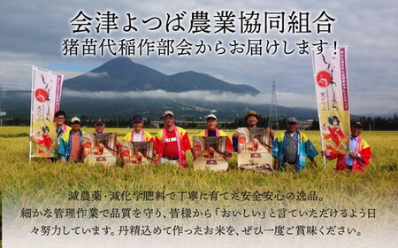 定期便 【10ヵ月連続】令和7年産 猪苗代町ブランド米 いなわしろ天のつぶ 10kg ｜ 米 お米 精米 白米 福島 大粒 寿司 和食