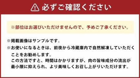 博多和牛 しゃぶしゃぶ すき焼き 用 500g 牛肉 福岡県 糸田町