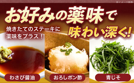 【12回定期便】長崎和牛サーロインステーキ 約400g(200g×2枚)[OCE036]