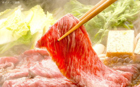 【6回定期便】長崎和牛リブローススライス約1kg(500g×2)[OCE057]