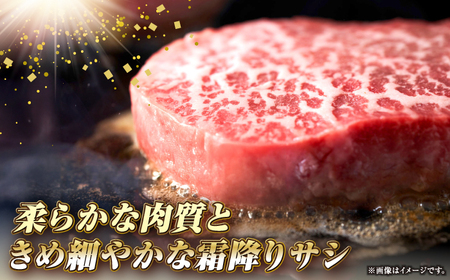 【全12回定期便】長崎和牛 サーロイン ステーキ 250g×2 《壱岐市》【KRAZY MEAT】 A5 A4 冷凍 和牛 肉 牛肉 BBQ [JER123]