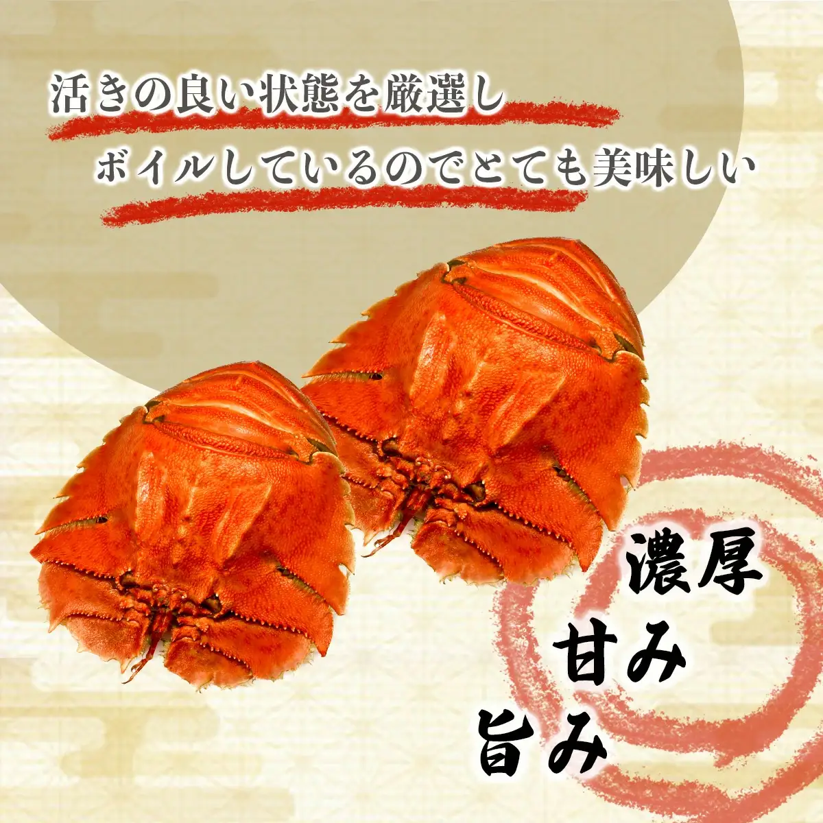 ＜数量限定＞ウチワエビ（ボイル）14匹前後 1000gセット【S247】
