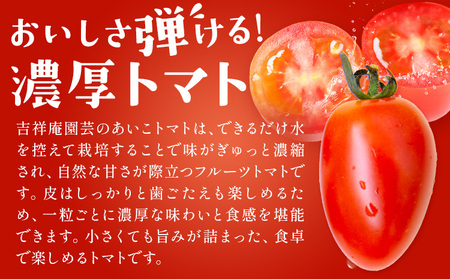 トマト あいこ あいこトマト 200g×4パック 吉祥庵園芸《11月上旬-6月上旬頃出荷》鹿児島県 さつま町 送料無料 野菜 トマト お取り寄せ