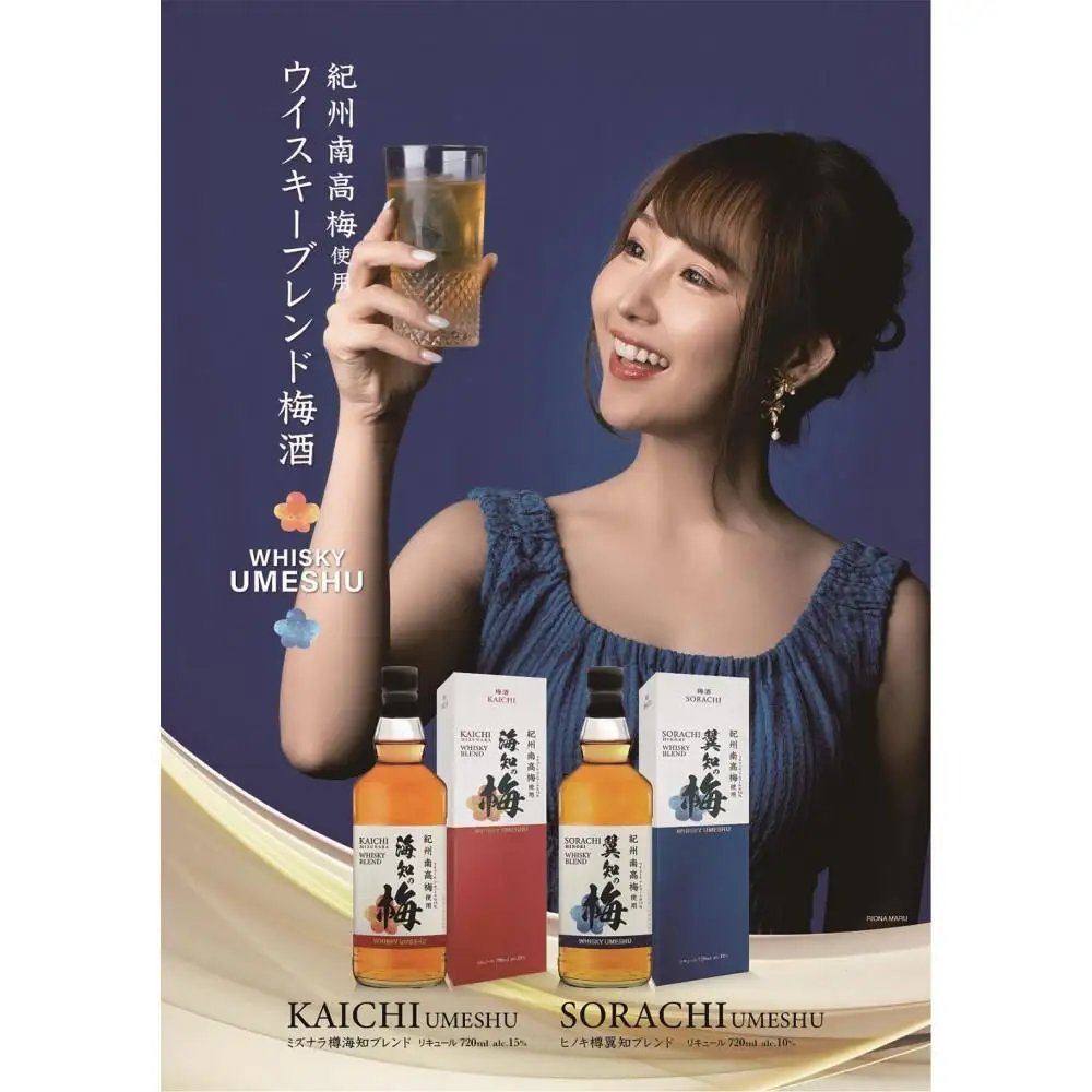 梅酒飲み比べセット 海知の梅 720ml 15% 翼知の梅 720ml 10%