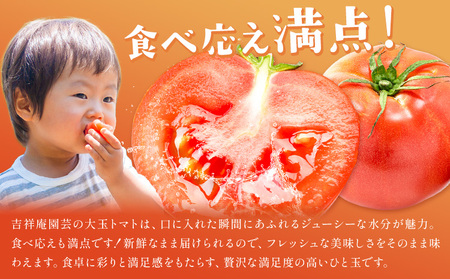 訳あり トマト 大玉 大玉トマト わけあり 2kg 吉祥庵園芸《11月上旬-6月上旬頃出荷》鹿児島県 さつま町 送料無料 野菜 トマト お取り寄せ