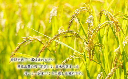 【数量限定】令和6年産 きりしまの湧水育ち 福澤ファームの高原町産ひのひかり5kg 白米 国産 宮崎県産 高原町産 使い切り ごはん ご飯 産地直送 湧水 安全 安心 12000円 1.2万円 TF0809-P00076