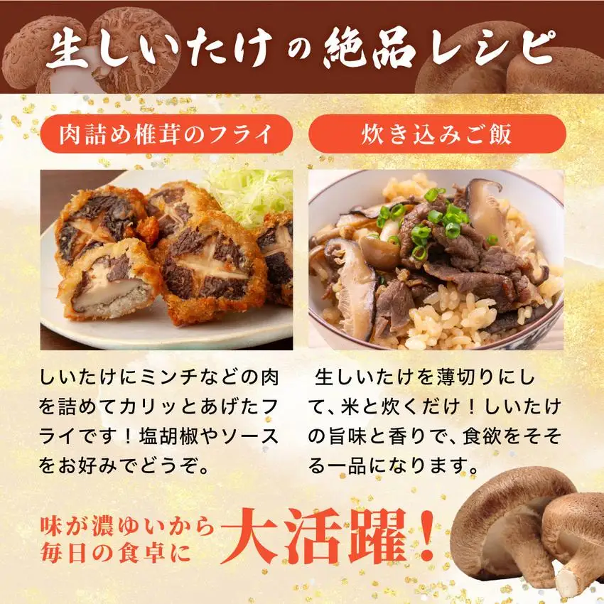[5525-1108]訳あり 湘南しいたけ 生 しいたけ 1.5kg 規格外 訳アリ しいたけ シイタケ 椎茸 きのこ キノコ ヘルシー 栄養 肉厚 ジューシー フレッシュ 国産 産地直送 アレンジ BBQ バーベキュー 北海道 伊達市