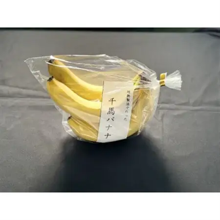 超熟成法仕立て 千馬バナナ 1房 4～5本入り_果物・フルーツ   くだもの_【1567242】