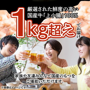 国産牛もつ1kgオーバー！九州醤油もつ鍋 10人前 _KBC0706