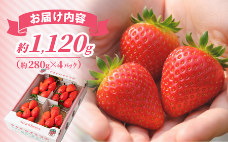 家庭用いちご やよいひめ ４パック 1120g いちご 群馬県 前橋市