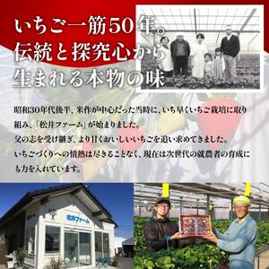 いちご やよいひめ 豊かな香り イチゴ 800g 2027年 先行予約 群馬県 前橋市