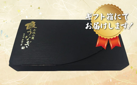 上州うなぎ蒲焼　1尾（150g以上）うなぎ