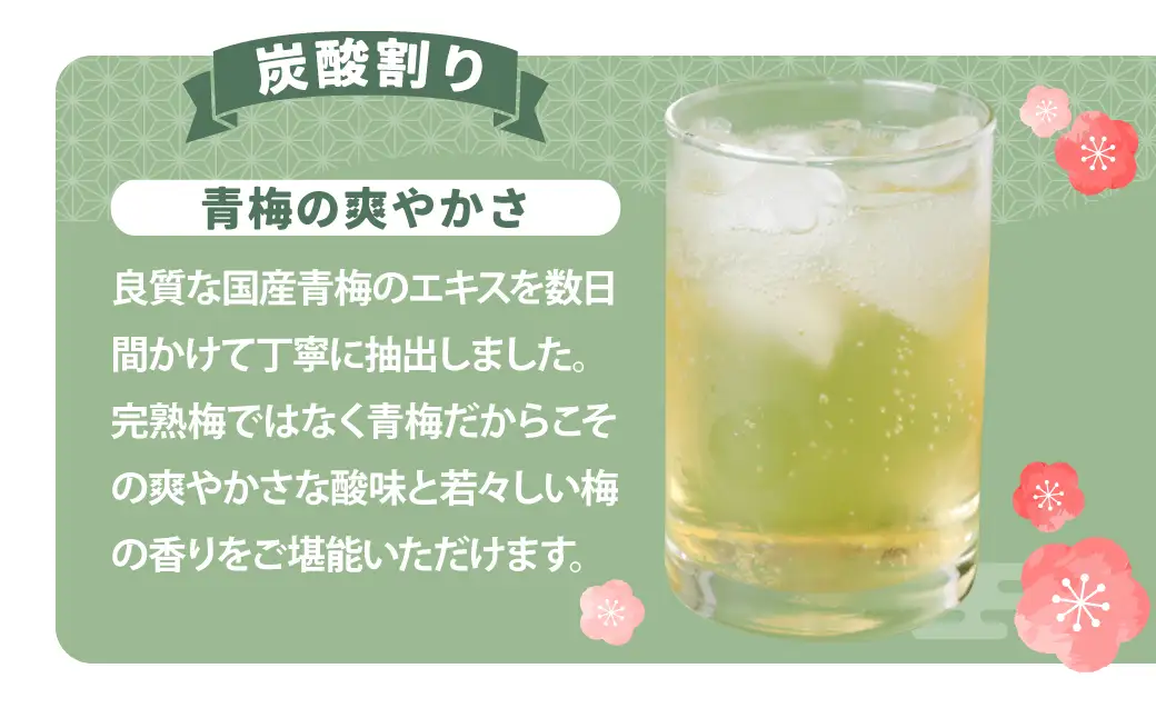梅 シロップ 国産 梅のしろっぷ 2本セット