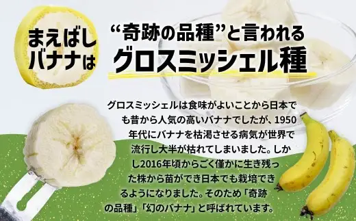 バナナ 紙箱入り 約10本 1.2kg 国産バナナ 贈答