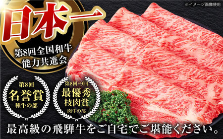 【6回定期】特選飛騨牛ステーキ&すきやき用1kgセット[AVAG012] 飛騨牛 ステーキ