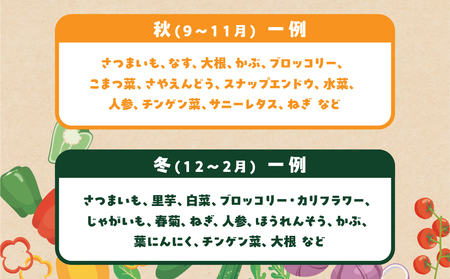 あつみの旬の野菜BOX 旬 野菜 野菜セット 詰合せ 田原市 渥美フーズ さつまいも ほうれんそう とうもろこし トウモロコシ きゅうり なす ナス ピーマン ねぎ 大根 じゃがいも たまねぎ にんにく人参 かぶ 白菜渥美半島 愛知県