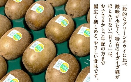 福岡県産 博多甘うぃ 約3.6kg（20玉～27玉入り）【2026年10月下旬～11月下旬発送予定】キウイ キウイフルーツ フルーツ 果物 くだもの 先行予約