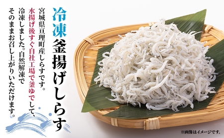 魚介 宮城県荒浜産 冷凍しじみ 600g 砂抜き済・冷凍釜揚げしらす 240g セット
