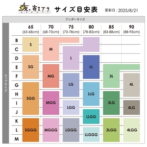 【サイズLLG】 寝ている間に集中育乳！夜寄るブラ 3枚セット ナイトブラ ノンワイヤー ヘブンジャパン HEAVEN Japan