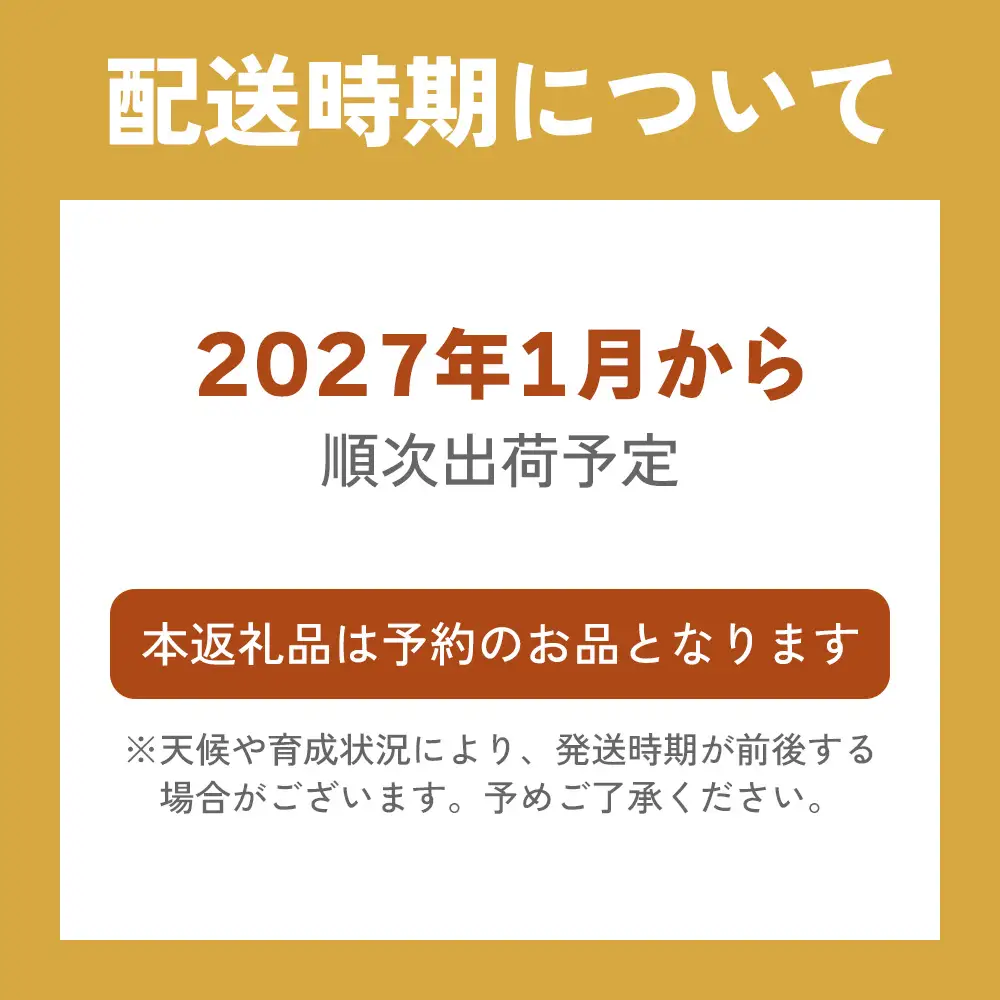 【4ヶ月連続定期便／計4回】 人気のいちご4品種【2027年1月より順次発送】 [0963]