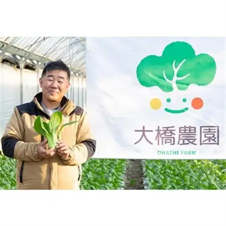 安城市産チンゲン菜ウインナー 128g×6袋【配送不可地域：離島】【1569904】
