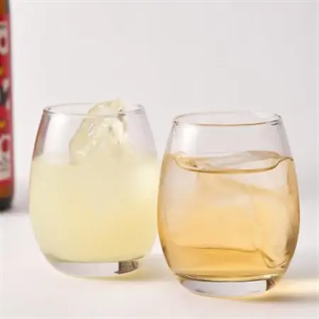 立山梅酒・立山ゆず酒(720mlセット)_酒・アルコール 梅酒    酒・アルコール リキュール・洋酒  _【1567719】